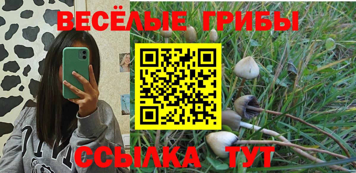 Галлюциногенные грибы прущие грибы Зеленогорск