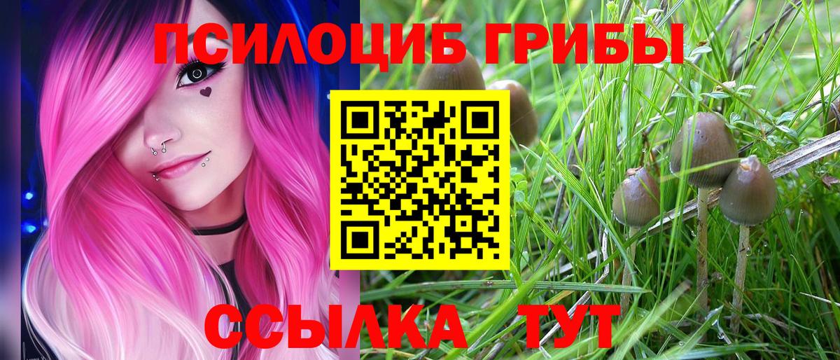 Зеленогорск  Псилоцибиновые грибы Magic Shrooms  Вход с VPN 